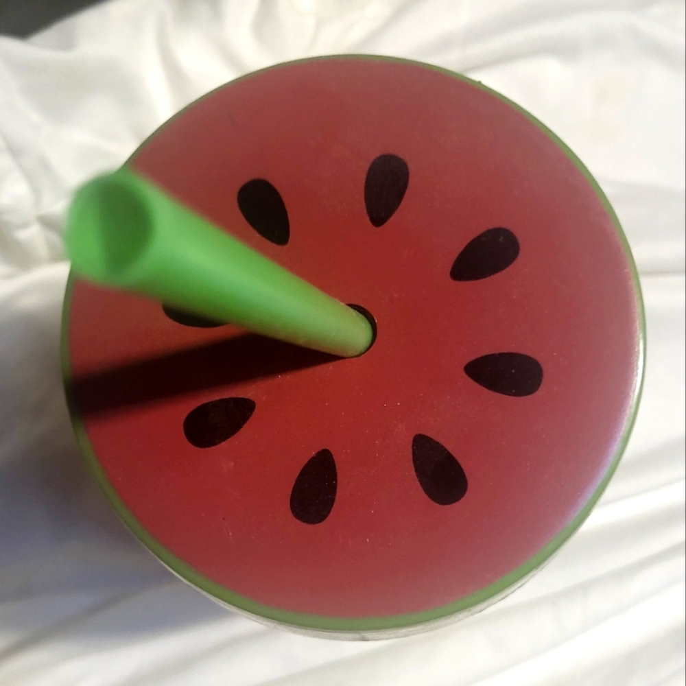 3 PC Set Watermelon Drinking Cups